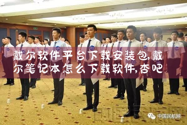 戴尔软件平台下载安装包|杏吧