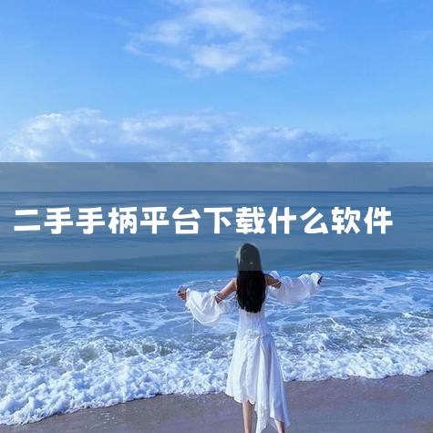 手柄可以在多个地方购买，包括电商平台、实体店以及二手市场。购买手柄的最便捷途径之一是电商平台。像淘宝、京东、天猫等大型电商平台都有丰富的手柄产品供消费者选择。在这些平台上，你可以根据手柄的品牌、型号、|杏吧