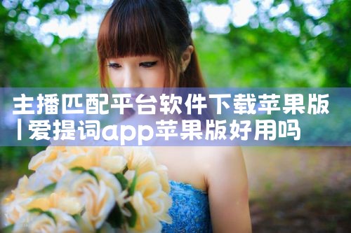 主播匹配平台软件下载苹果版|杏吧