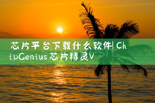 芯片平台下载什么软件|抖阴