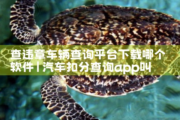 查违章车辆查询平台下载哪个软件|杏吧