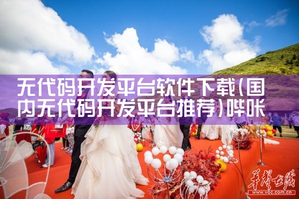 无代码开发平台软件下载|哔咔漫画