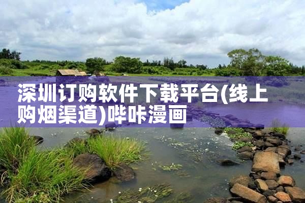 深圳订购软件下载平台|哔咔漫画