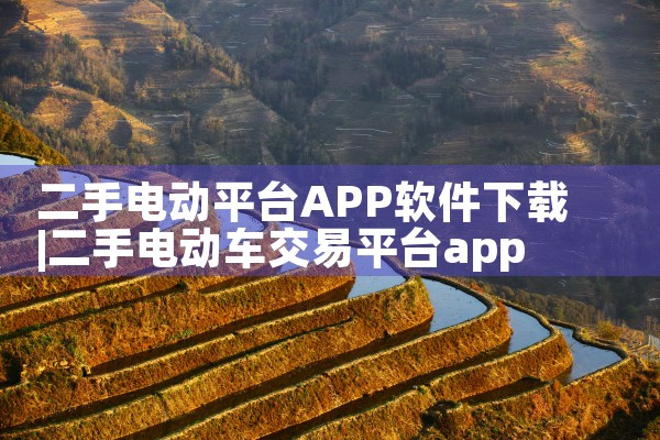 二手电动平台APP软件下载|杏吧