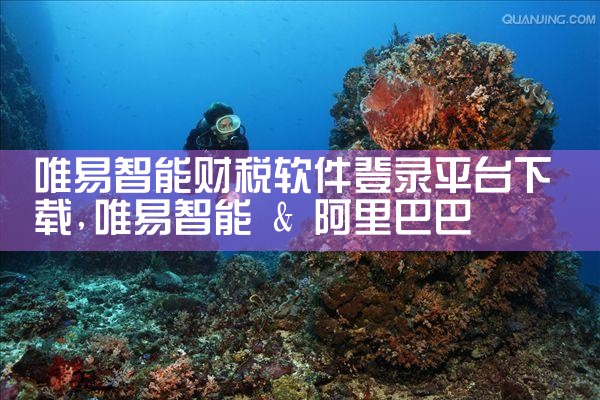 唯易智能财税软件登录平台下载|杏吧